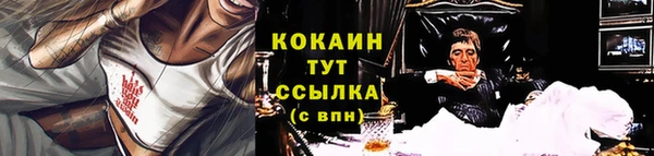 дмт Козловка