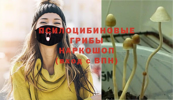 альфа пвп Козельск